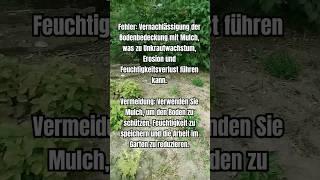 Diesen FEHLER im GARTEN unbedingt vermeiden  #garten #gartentipps #gemüsegarten #shortsmitmarietta