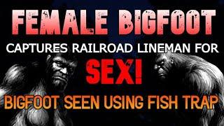 FEMALE BIGFOOT CAPTURES RAILROAD LINEMAN! BIGFOOT SEEN USING FISH TRAP!