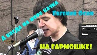 ИГРА НА ГАРМОНИ. Евгений Осин - А когда на море качка.