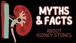 Can Beer or Lemon Juice CURE KIDNEY STONES? The Truth | HBBase