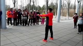 Taiji rouliball Type 8 / 八式太极柔力球
