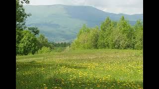 ВСІМ-УСІМ, кого надихають Карпати /To everyone who is inspired by the Carpathians/ Zav-Slobozhan