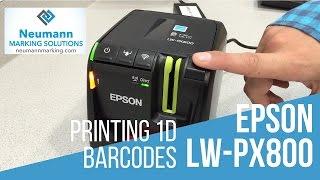 Epson LW PX800 Barcode Printing