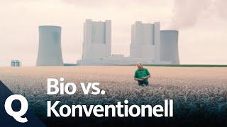 Ökologische und konventionelle Landwirtschaft – Ein Vergleich | Quarks