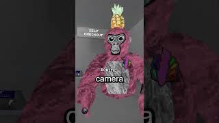 camera mod tier list (gorilla tag)