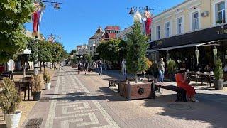 Simferopol City Centre Glimpse | Crimea Federal University | Crimea State Medical University | CFU