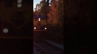 Alaska Railroad 4326 arriving in Fairbanks #shorts #alaska #railroad #fairbanks #trains