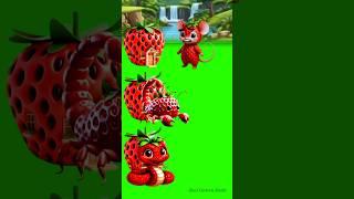 help the strawberry mouse find it's home #shorts​ #usa​ #english​ #cartoon​ #animation​