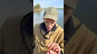 Поисковое сито рыбак просто в шоке от находок  #рек #рыбалка #топ