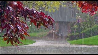 Rain On WindowㅣHeavy Rain for Sleep, Study and Relaxation