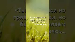 Что произойдет, если грязь станет твоим князем?