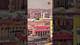 madina chod aaye hain #shorts #daureaakhir #viralvideo