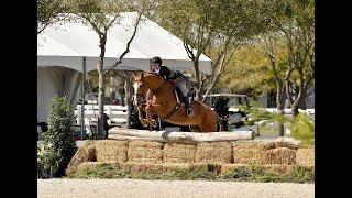 Kumquat De Reve National Hunter Derby score of 89