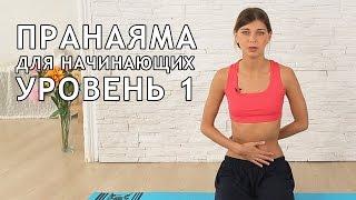 Пранаяма для начинающих. Урок 1.