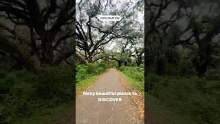 #dailyhabits #movement #exploration #florida