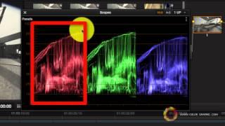 Davinci Resolve - Reading and Analysing the Scopes