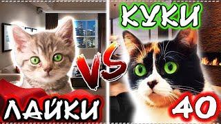 КОРОЧЕ ГОВОРЯ, ЛАЙКИ VS КУКИ 40 / БЕЗДОМНЫЙ КОТЕНОК СУПЕР ГЕРОЙ против Куки из Сливки Шоу