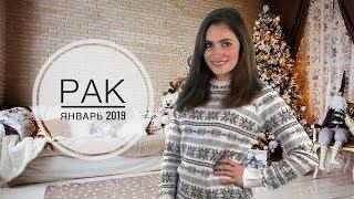 РАК. Гороскоп на ЯНВАРЬ 2019 | Алла ВИШНЕВЕЦКАЯ