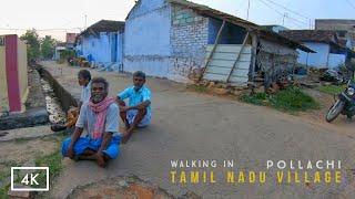 Walking in a village near Pollachi | Tamil Nadu Village Life | 4K Walking tour in India