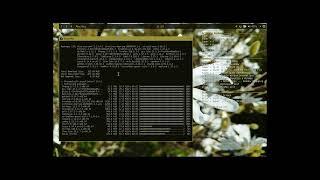 Edu 0027 : ArchBang - installation - tips - arcolinux-nemesis scripts