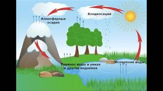 Окружающий мир 3 класс ч.1, тема урока "Превращения и круговорот воды", с.55-58, Школа России