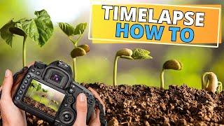 HOW TO Make Your Own Plant TIMELAPSE