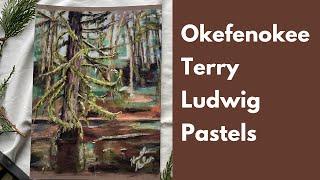 Terry Ludwig Okefenokee -limited edition pastel review and demo