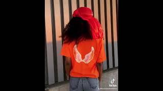 Duanra Streetwear- Wings T-Shirt Modeling Promo