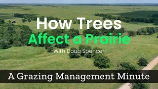 How Trees can Affect the Prairie - Grazing Management Minute