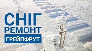 194. ДУЖЕ, ДУЖЕ БАГАТО снігу. РЕМОНТ і ГРЕЙПФРУТ. Зимовий ВЛОГ у Німеччині