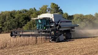 Gleaner R62 harvesting soybeans at Stroda Farms