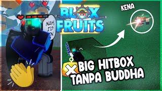 Aku Mencoba Glitch OP Big Hit Box Tanpa Buddha !!! Di Blox Fruit [Roblox]