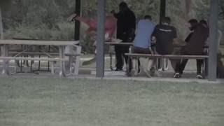 pink guy ruins picnic