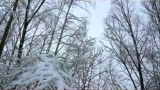 Winterlandschaft Gelsenkirchen 2010.wmv