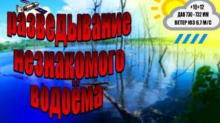 № 37 Спиннинг с берега Незнакомый водоём Озеро коряжник