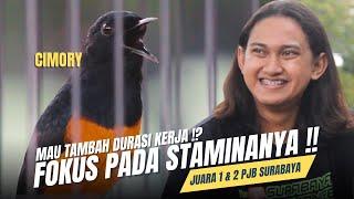 [ Murai Batu CIMORY ] Mau Tambah Durasinya ⁉️Kejar Fisiknya ‼️Juara 1 & 2 PJB Surabaya