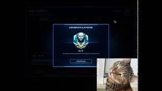 RIP MY CAT JASMINE TRIBUTE STREAM - StarCraft 2 RIP JASMINE