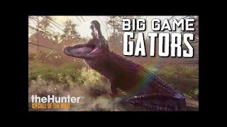 TheHunter Call Of The Wild (GATOR HUNTING IN EMERALD COAST)