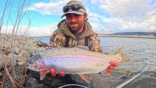 GIANT Rainbow TROUT Fishing!! (Catch & Cook)