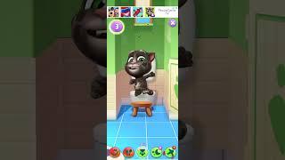 tom talking #shoat #catvideos #tom zindagi#