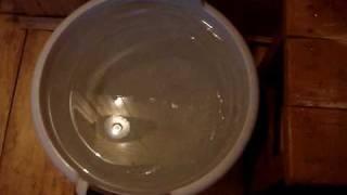 ise in the bowl
