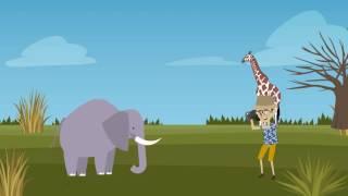 Karell Travel Introduction