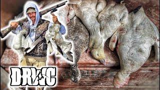 100 Yard Kill Shot!!! - Snow Goose Hunt