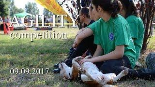 Cherkasy Open Agility 2017 | Beagle Xena