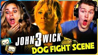 JOHN WICK 3 Dog Fight Scene (w/Halle Berry) Reaction! | Keanu Reeves