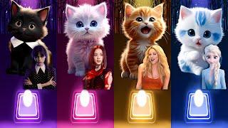 CUTE CATS - LADY GAGA BLOODY MARY - SHAKIRA WAKA WAKA - JISOO FLOWER - CUPID