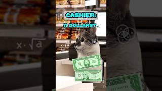 When Math Is Not Mathing Pt. 1 | Cat Memes  #shorts sounds: @dude.dans_