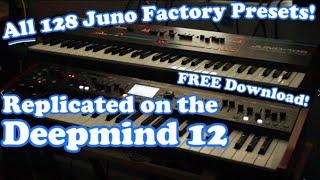 Deepmind Patch bank // All 128 Juno 106 Factory Presets for Free!