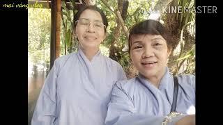 Chùa Huế - Huyền Không - mùa an cư #cuộc sống Huế# mai vàng# vlog