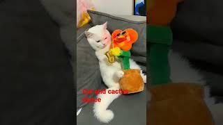 Cat and cactus dance #shorts